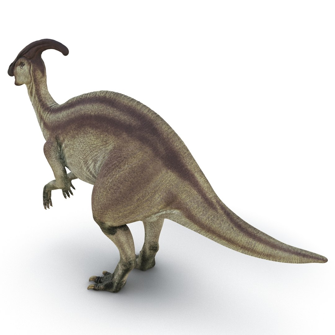 parasaurolophus 3d c4d https://p.turbosquid.com/ts-thumb/z2/DHYx1b/iMC9MGKn/parasaurolophus3dmodel05/jpg/1453386213/1920x1080/fit_q87/8a4fc263072d228d705984754990514bcb836477/parasaurolophus3dmodel05.jpg