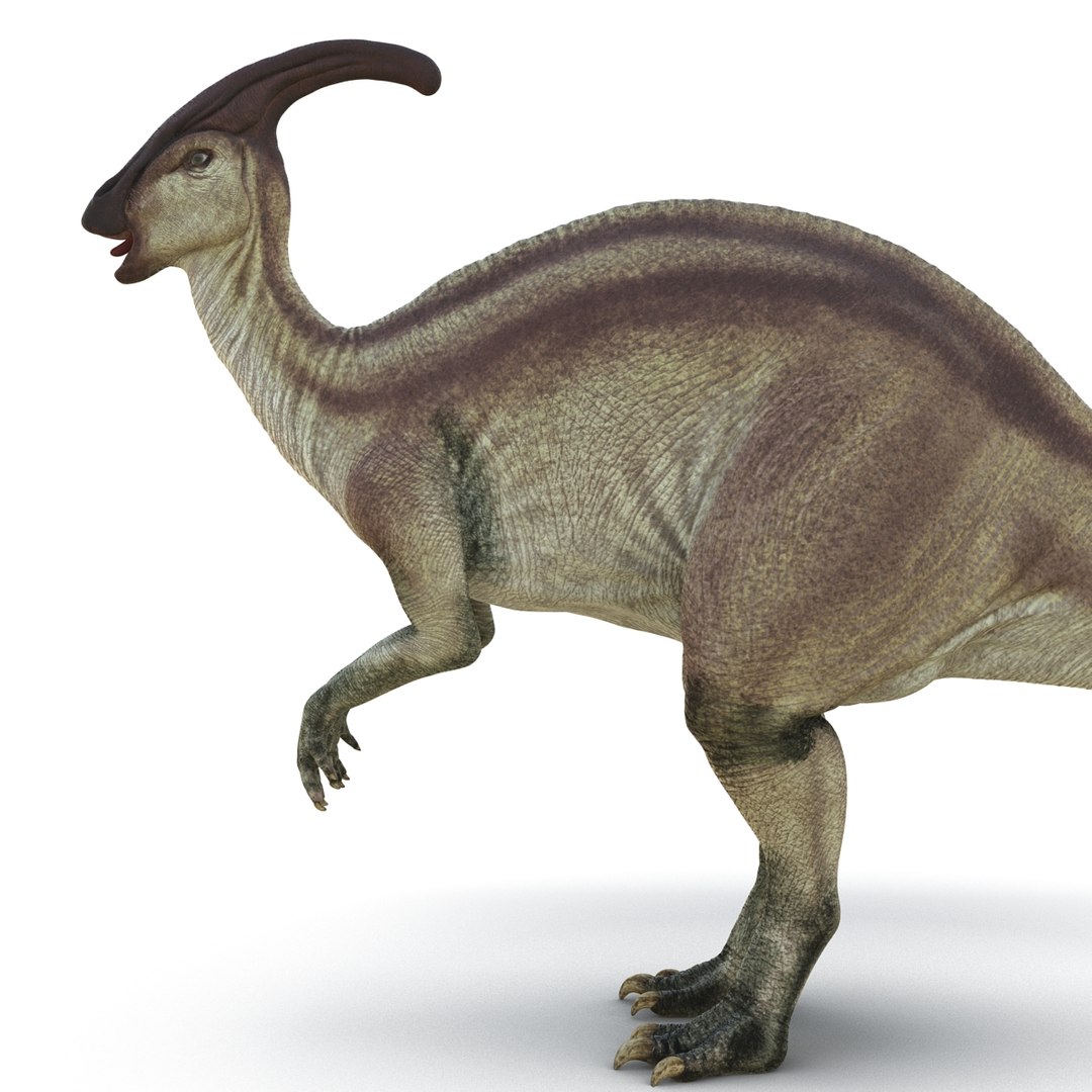 parasaurolophus 3d c4d https://p.turbosquid.com/ts-thumb/z2/DHYx1b/jlXyMLcc/parasaurolophus3dmodel15/jpg/1453386215/1920x1080/fit_q87/e59d591a50828e744b3398beb36f48426c61a053/parasaurolophus3dmodel15.jpg