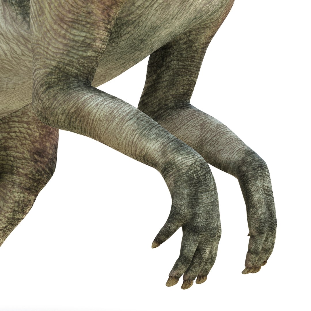 parasaurolophus 3d c4d https://p.turbosquid.com/ts-thumb/z2/DHYx1b/k8Ga7drO/parasaurolophus3dmodel18/jpg/1453386215/1920x1080/fit_q87/c1a2724f1cb630ee2fe770a1f9465737d2aad861/parasaurolophus3dmodel18.jpg