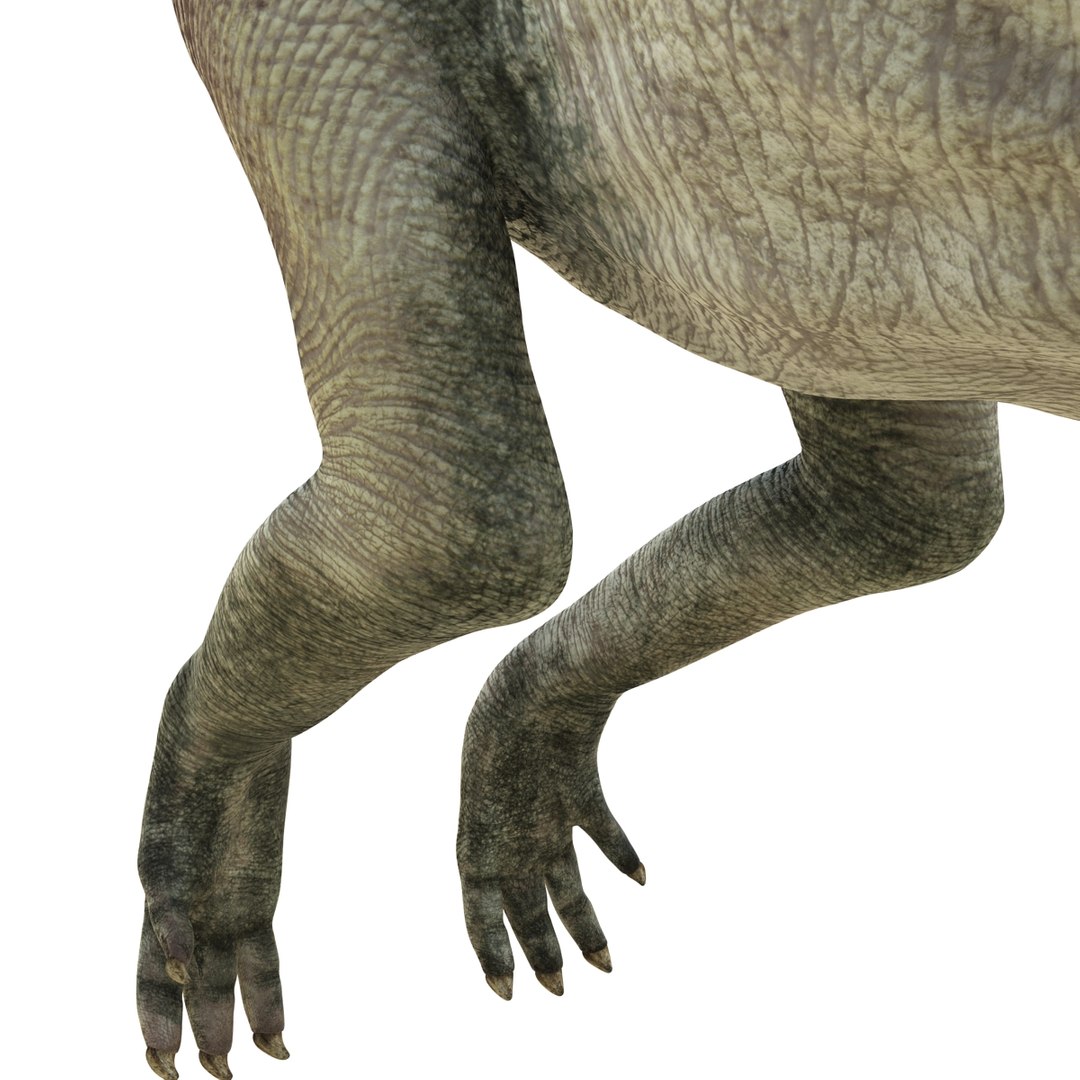 parasaurolophus 3d c4d https://p.turbosquid.com/ts-thumb/z2/DHYx1b/sZyfRoTk/parasaurolophus3dmodel14/jpg/1453386214/1920x1080/fit_q87/9147f92adae061edf793e3017fdb01f485f82ef3/parasaurolophus3dmodel14.jpg