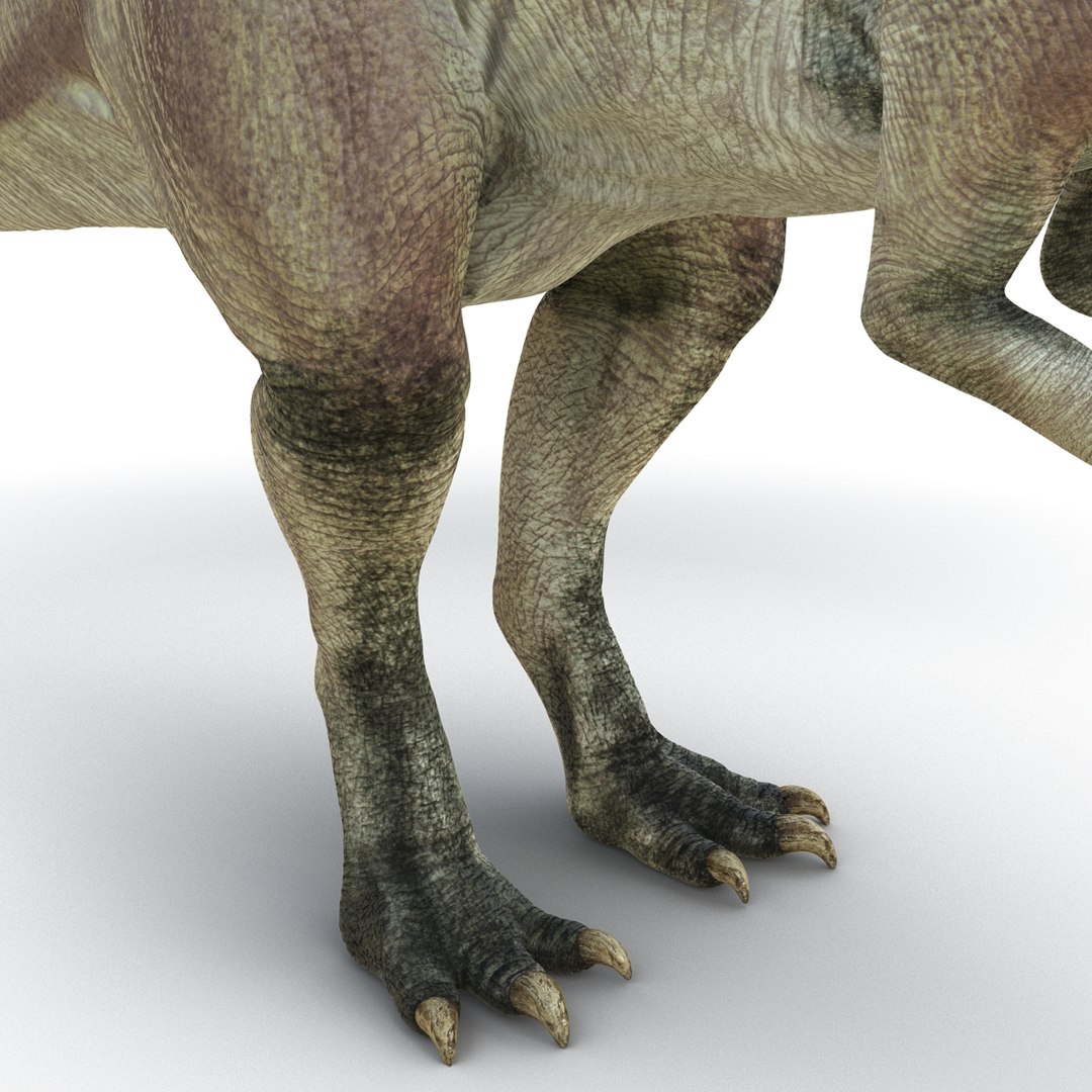 parasaurolophus 3d c4d https://p.turbosquid.com/ts-thumb/z2/DHYx1b/w75F4rL2/parasaurolophus3dmodel11/jpg/1453386214/1920x1080/fit_q87/457db33ba9d1c7286e99eb59368c775430d87790/parasaurolophus3dmodel11.jpg