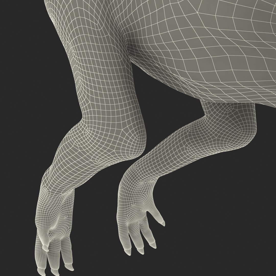 parasaurolophus 3d c4d https://p.turbosquid.com/ts-thumb/z2/DHYx1b/yi6qtooQ/parasaurolophus3dmodel36/jpg/1453386218/1920x1080/fit_q87/23983ee9d5ff30d4f8acdb79e804e02862378f21/parasaurolophus3dmodel36.jpg