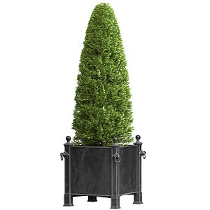 3D Decorative tree in garden planter RH ArtDeco Front Patio