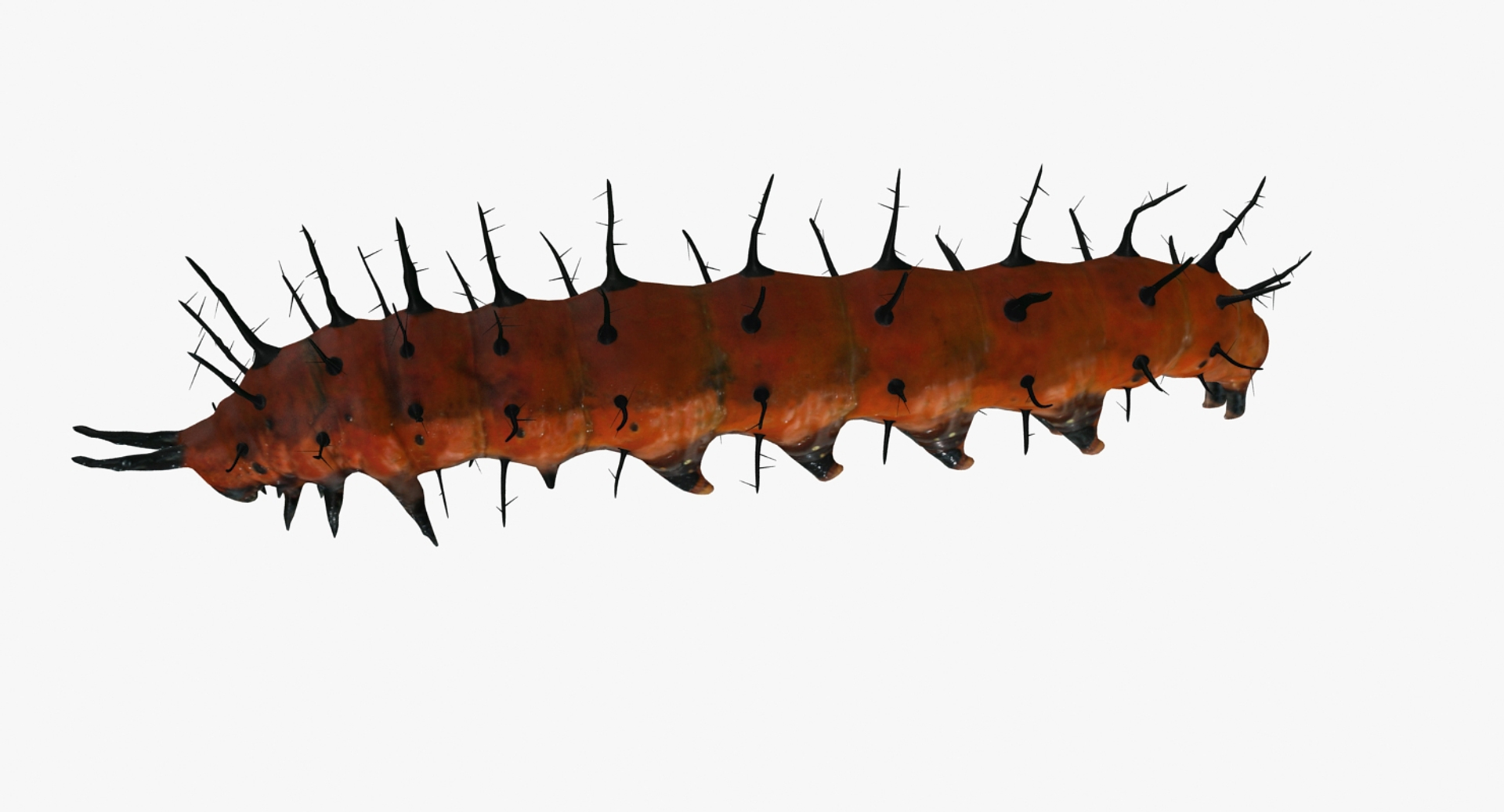 gulf caterpillar model https://p.turbosquid.com/ts-thumb/z2/JJeqTh/qHyvdNAC/catepillartt/jpg/1504935869/1920x1080/turn_fit_q99/1d58fe31b4e72fabd6da695da5e6bc89cde0487f/catepillartt-1.jpg