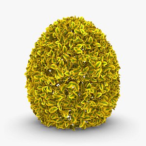 Hedge 02 (Yellow)