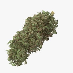 marijuana bud 01 03 3d model