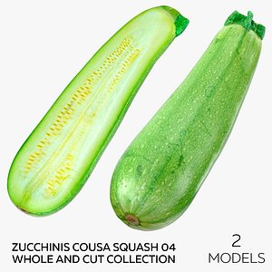 3D 2 Zucchinis Cousa Squash 04 Whole and Cut Collection
