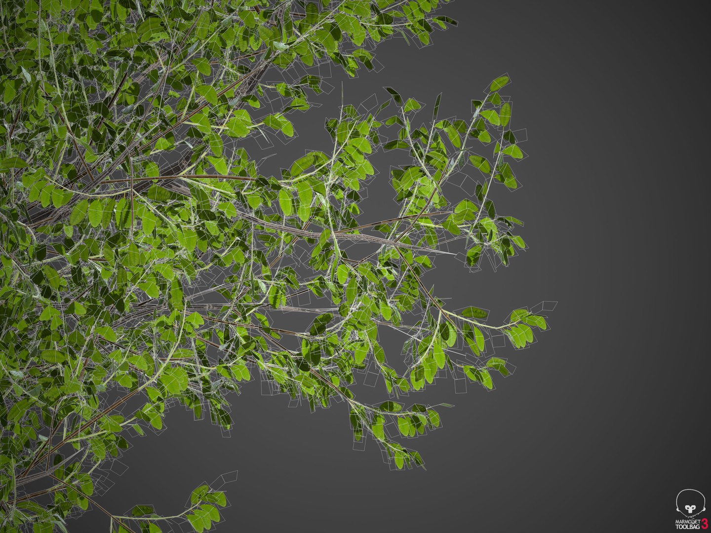 tree nature 3D https://p.turbosquid.com/ts-thumb/z2/TMfYts/4H/wireframe3/jpg/1611004983/1920x1080/fit_q87/3eada1fde1bd5f990010cb262b541fdee59e3347/wireframe3.jpg