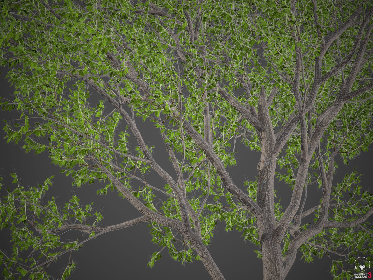 tree nature 3D https://p.turbosquid.com/ts-thumb/z2/TMfYts/SO/wireframe/jpg/1611005002/1920x1080/fit_q87/f0ef7ca4d95cc96a8fcaeb4fb7d8a6a87d74c333/wireframe.jpg