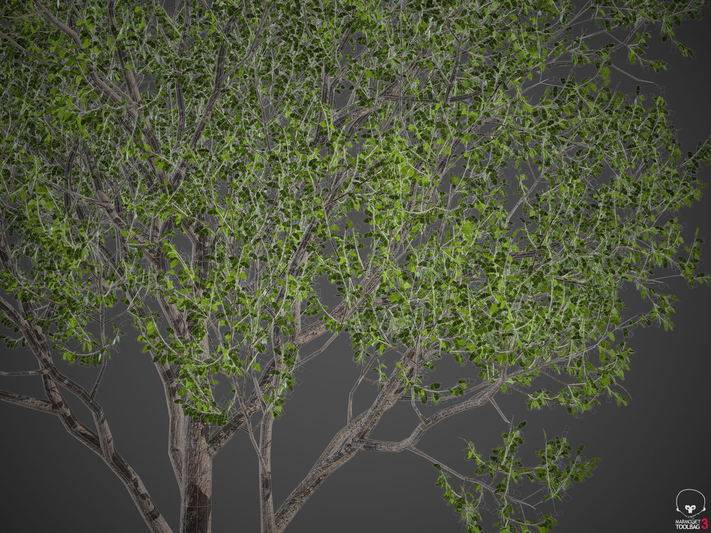 tree nature 3D https://p.turbosquid.com/ts-thumb/z2/TMfYts/UD/wireframe2/jpg/1611004985/1920x1080/fit_q87/34ded7bbb92af5ff69dc76e6ed5523f0035723e8/wireframe2.jpg