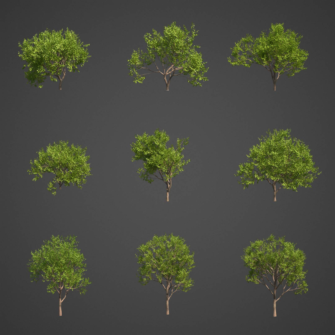 tree nature 3D https://p.turbosquid.com/ts-thumb/z2/TMfYts/iL/as18/jpg/1611005106/1920x1080/turn_fit_q99/6b243a92b0ce3dd8dcb3394f01af5df1728241a0/as18-1.jpg