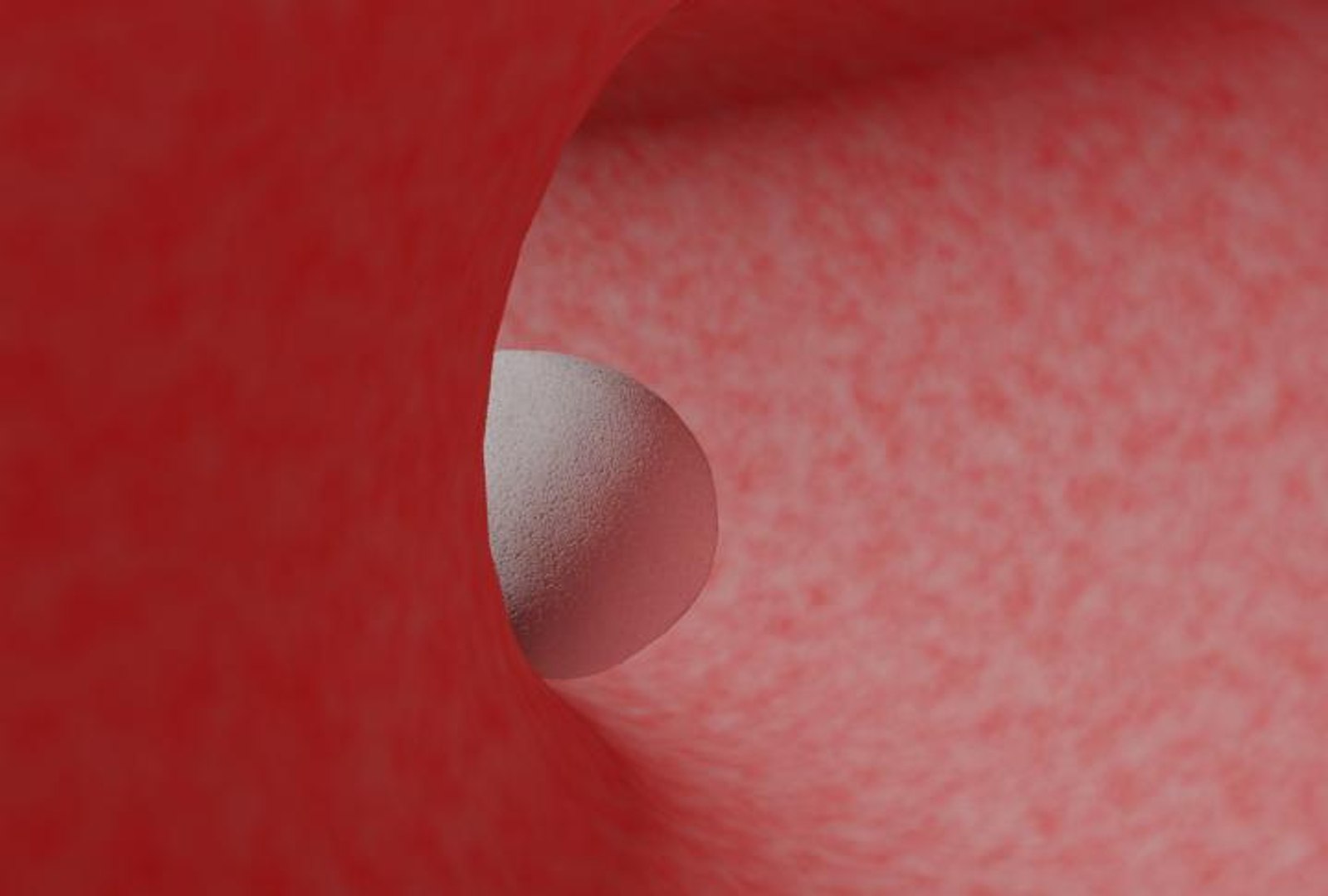 3d model of human fertilization https://p.turbosquid.com/ts-thumb/z2/gVJEwL/9ygwzCle/fec2/jpg/1255242490/1920x1080/fit_q87/4293eebd168b762c69f71d9d7934562effc400ea/fec2.jpg