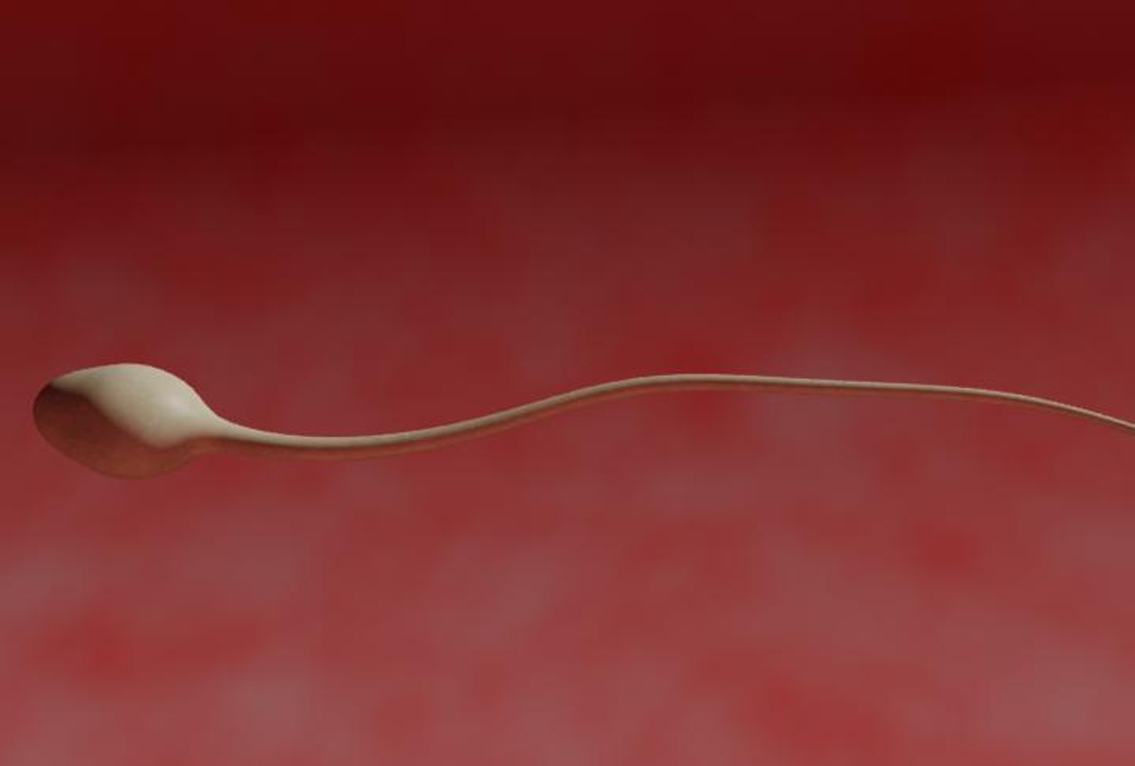 3d model of human fertilization https://p.turbosquid.com/ts-thumb/z2/gVJEwL/j4Wknel2/fec13/jpg/1255242475/1920x1080/fit_q87/844985b240e7098192f68844340d9f90beb6d724/fec13.jpg