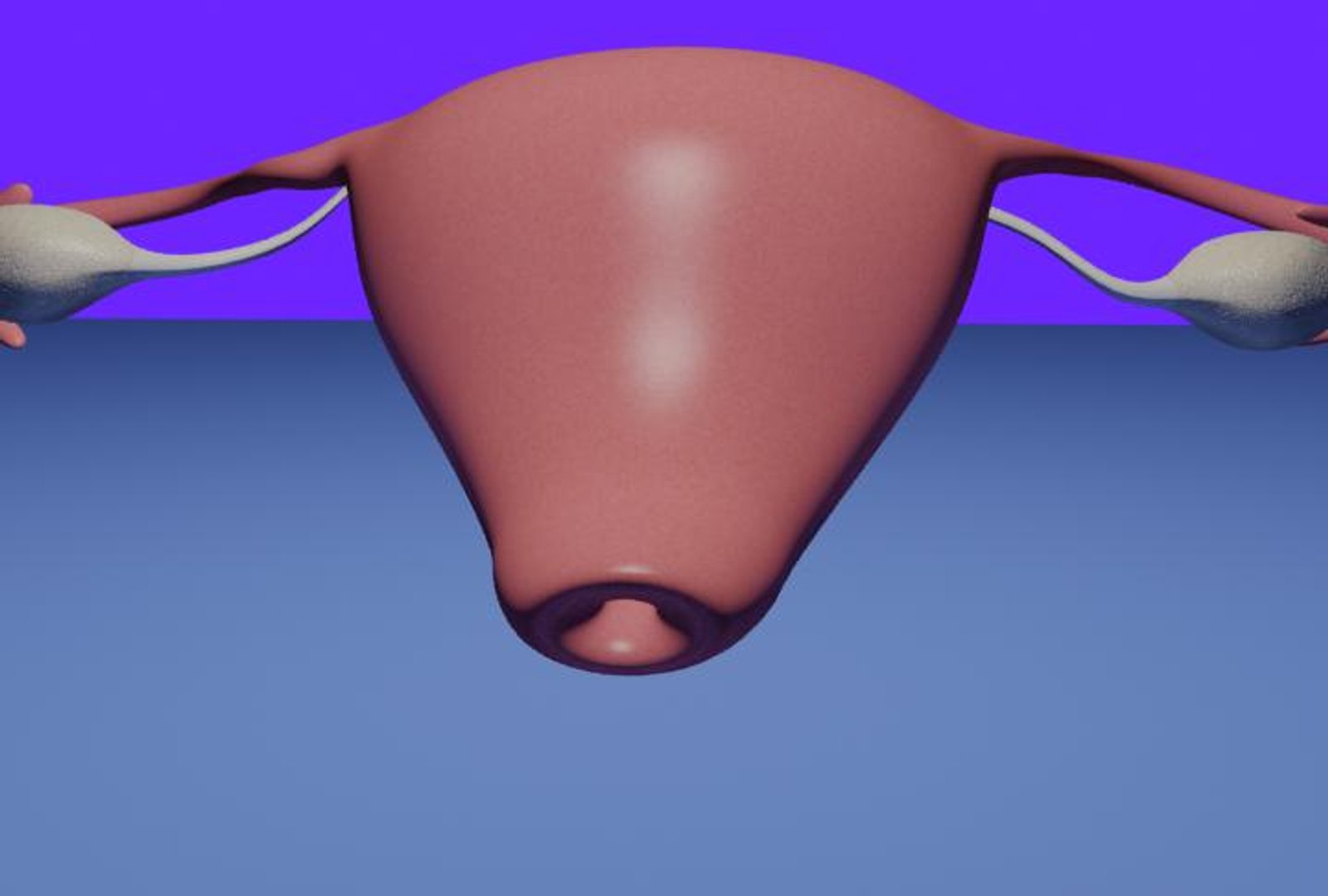 3d model of human fertilization https://p.turbosquid.com/ts-thumb/z2/gVJEwL/l19pkgnB/fec5/jpg/1255242497/1920x1080/fit_q87/d86c9e9da0ad63edeb62739946c8f3ed04b78b8b/fec5.jpg