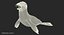 Baby Sea Lion Rigged for Cinema 4D