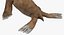 Baby Sea Lion Rigged for Cinema 4D