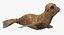 Baby Sea Lion Rigged for Cinema 4D