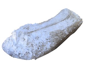 scanned 16k 3D model