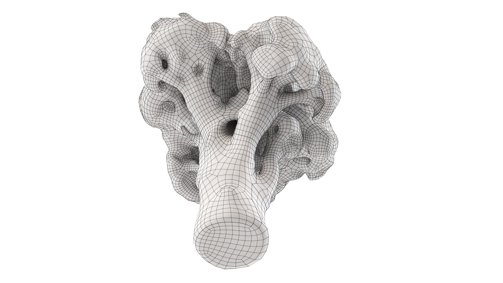 Broccoli 3D model https://p.turbosquid.com/ts-thumb/z2/tUargJ/t4/008/jpg/1732641867/1920x1080/fit_q87/02fe76f272b945c923e73595a45b2a30521fb8ac/008.jpg