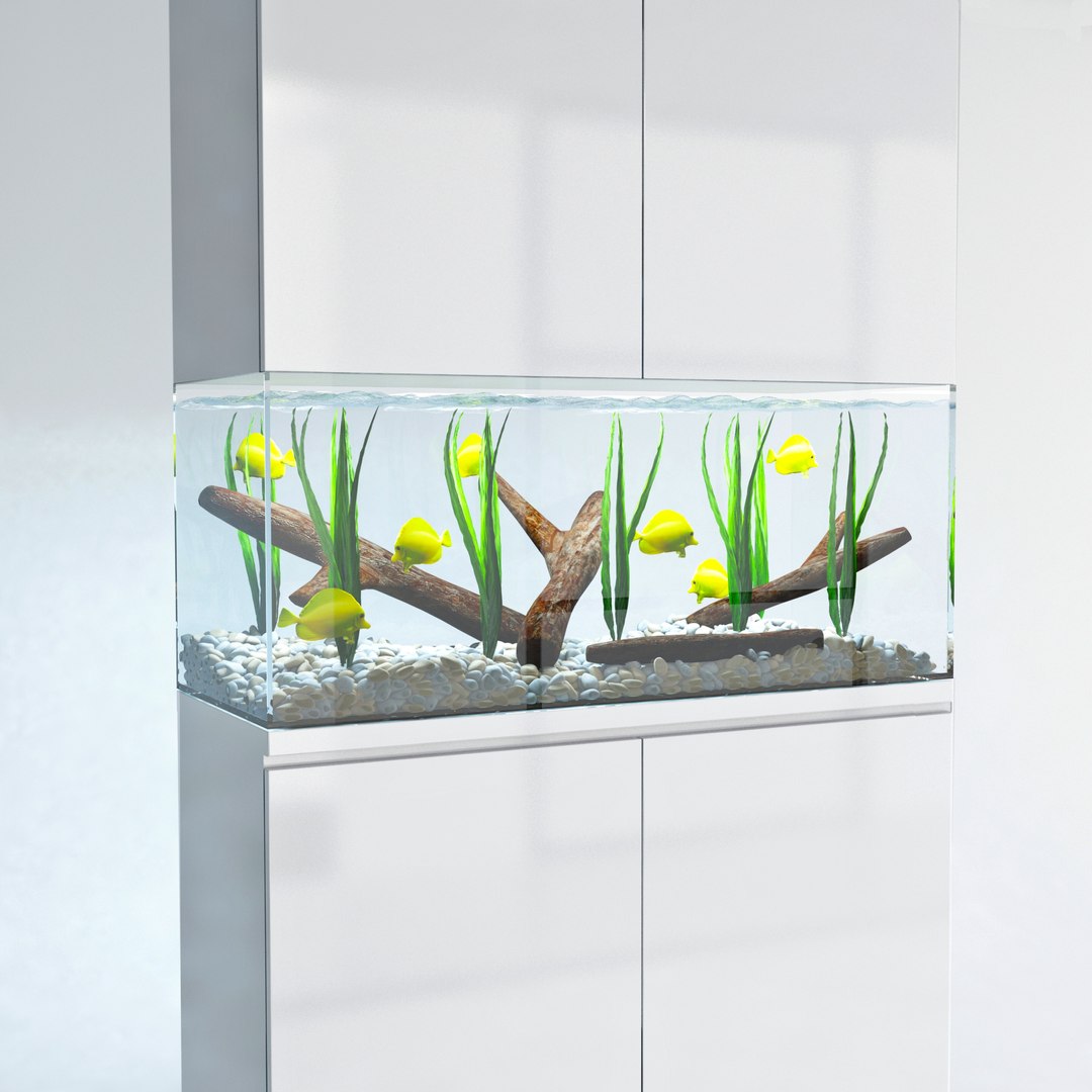 marine aquarium 3d model https://p.turbosquid.com/ts-thumb/z2/vp9fCR/wMK2Vy8H/aqua01u/jpg/1438861757/1920x1080/fit_q87/f1ece5b8f3e8fa90613d0f7bf45a3f7df14302cf/aqua01u.jpg