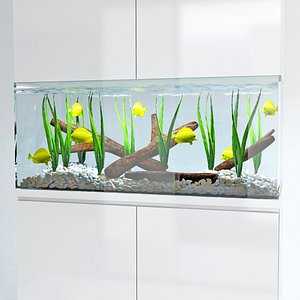 marine aquarium 3d model