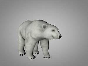 3D polar white bear model
