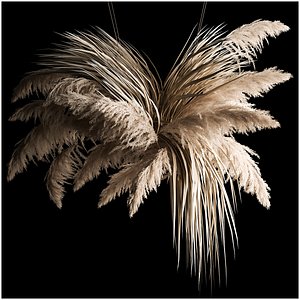 3D Previous Next Color palette  Hanging Bouquet Of Dry Reeds For Decoration 266