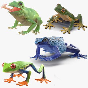frogs rigged 2 3D