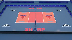 Volleyball Court 3D model