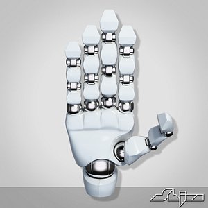 Robotic Hand