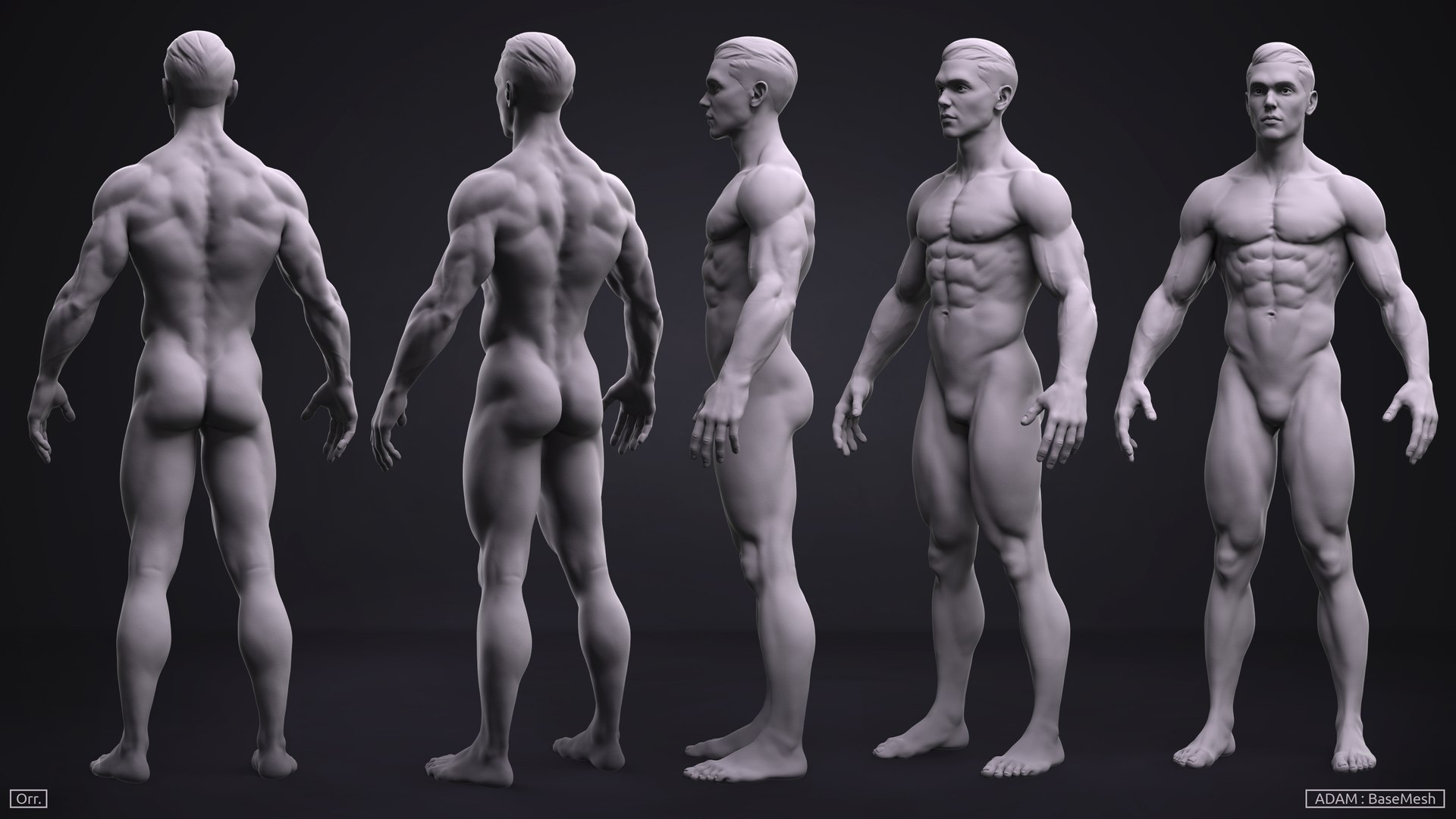 3D model zbrush male anatomy basemesh https://p.turbosquid.com/ts-thumb/z3/Nae3PQ/OWlukl66/male_turnaround_01_firstpass/jpg/1524012735/1920x1080/fit_q87/7147b2b83253769f9259bccda6a8a27701d8d898/male_turnaround_01_firstpass.jpg