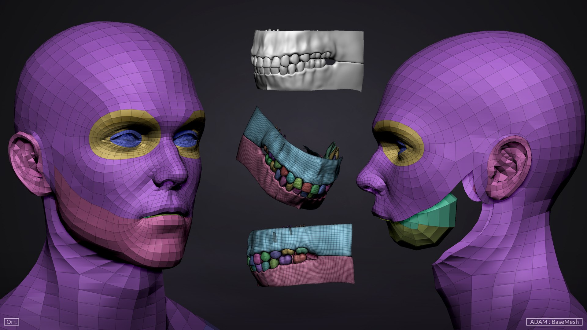 3D model zbrush male anatomy basemesh https://p.turbosquid.com/ts-thumb/z3/Nae3PQ/w2KTQOxS/male_topologyhead_nobuynow/jpg/1524012807/1920x1080/fit_q87/c8c7de6c0804fdba1a3c625b134ba455611d603c/male_topologyhead_nobuynow.jpg