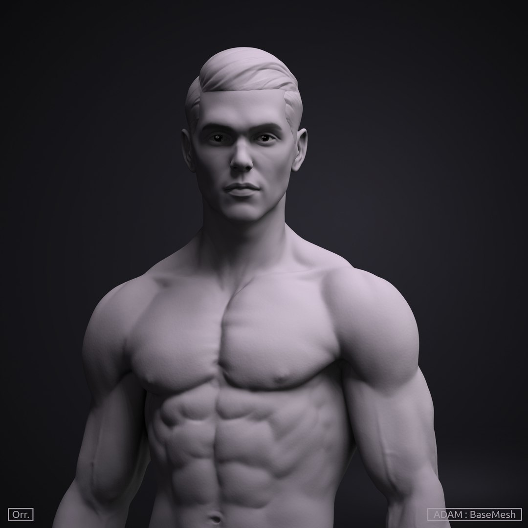 male body reference zbrush