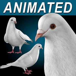 Dove - Folded Wings