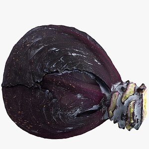 red cabbage 3d model