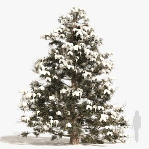 Snow Winter red cedar model