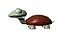 Toon Tortoise 3D model