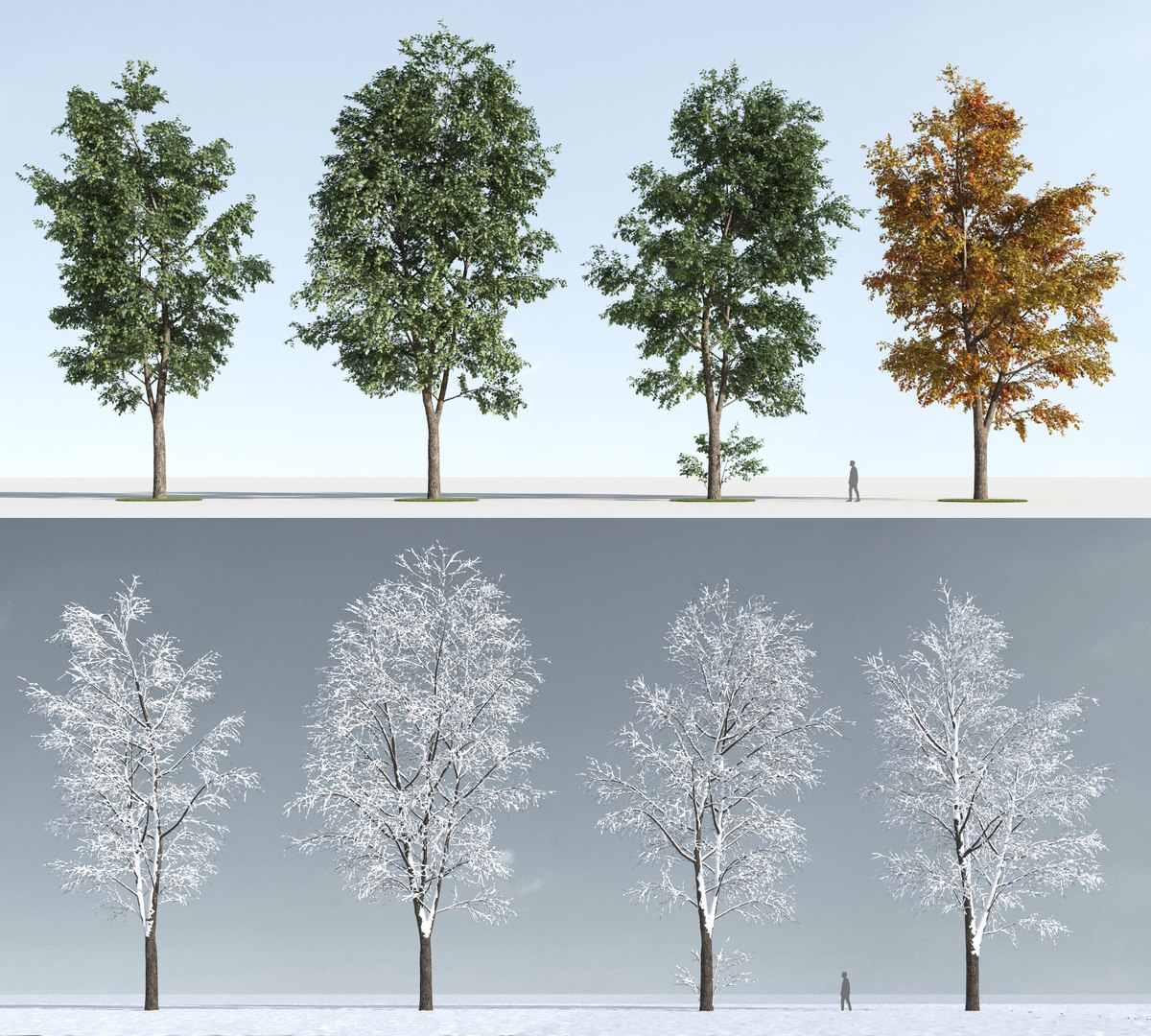 3D trees https://p.turbosquid.com/ts-thumb/z3/l91ZUv/1bkL5QE0/trees_l_2/jpg/1545920640/1920x1080/fit_q87/577f3c37cf92a0bfad6eb2e0d839ef9732ad7e91/trees_l_2.jpg