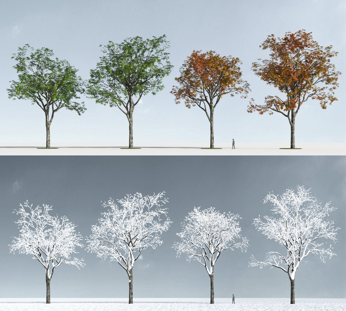 3D trees https://p.turbosquid.com/ts-thumb/z3/l91ZUv/4VCVMsv0/trees_g_4/jpg/1545920236/1920x1080/fit_q87/641b885ea534deacd5d3c5d86f35fbb1497e00c8/trees_g_4.jpg