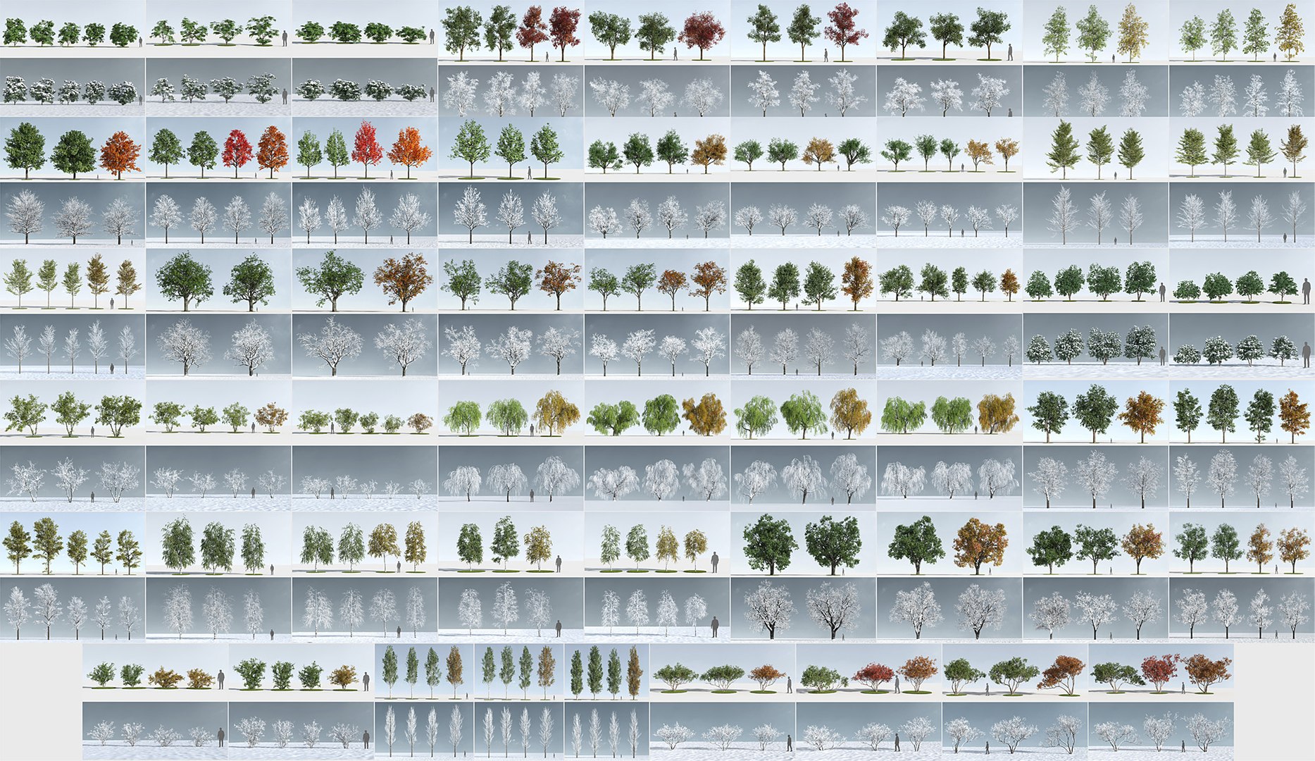 3D trees https://p.turbosquid.com/ts-thumb/z3/l91ZUv/HLnd4bGE/__coverb/jpg/1546495983/1920x1080/fit_q87/bdf99ec165347b04f571e8c721c6f042c504b285/__coverb.jpg