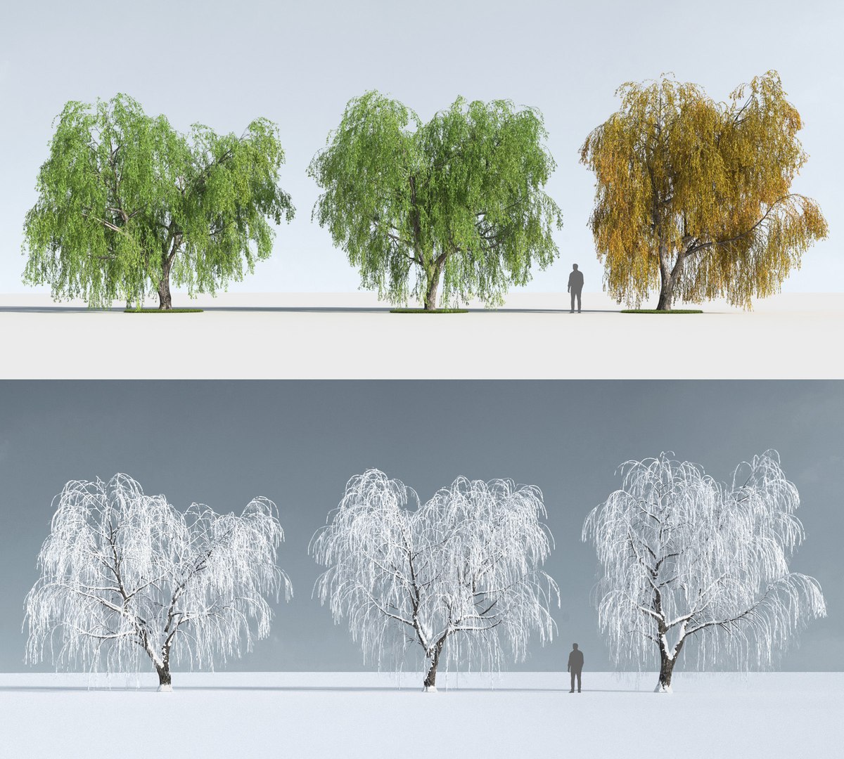 3D trees https://p.turbosquid.com/ts-thumb/z3/l91ZUv/UNGTDQ4q/trees_k_4/jpg/1545921007/1920x1080/fit_q87/18f28c1bc847c3ecb98f0bd9f0bb4e777e5fef10/trees_k_4.jpg