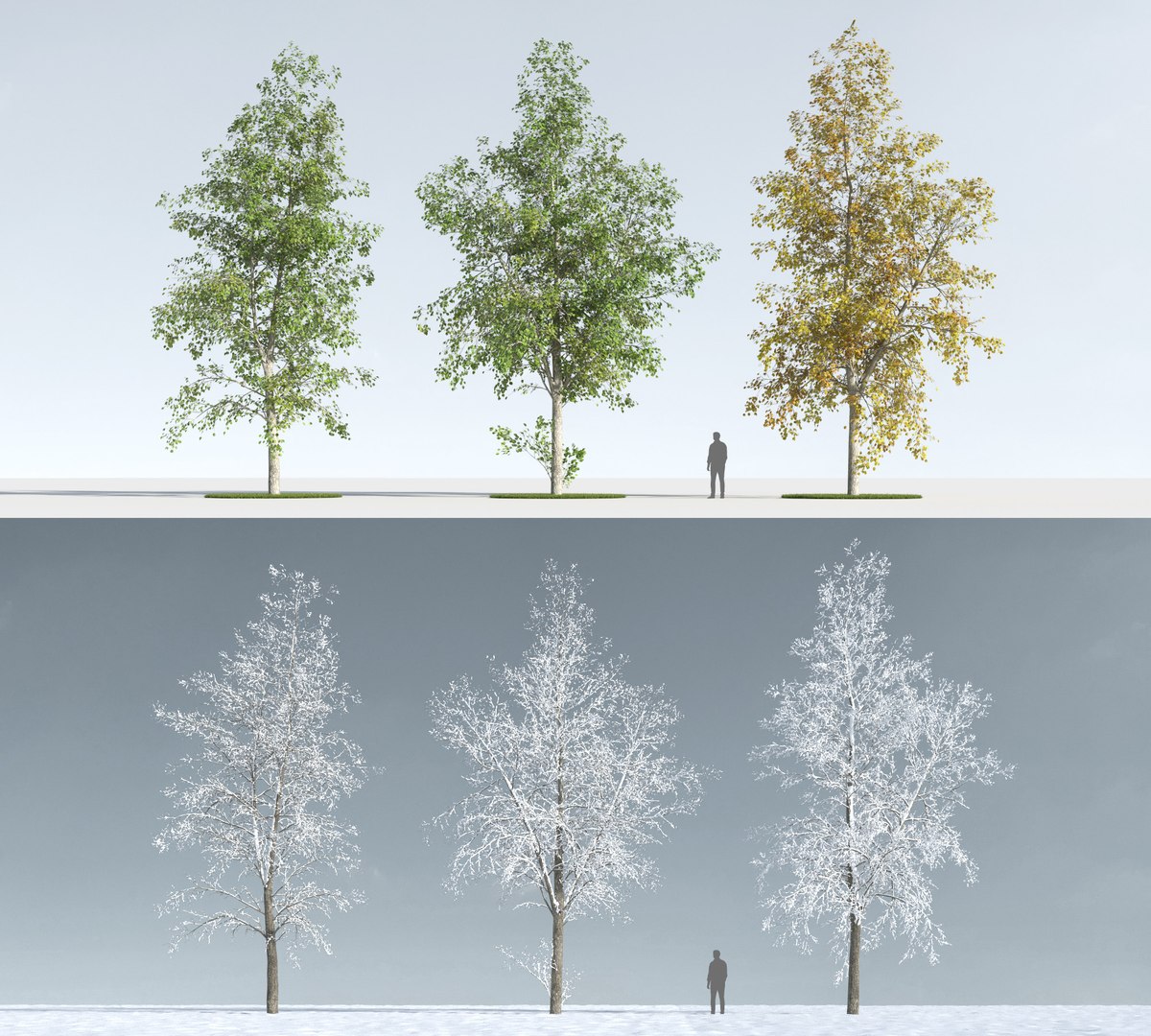 3D trees https://p.turbosquid.com/ts-thumb/z3/l91ZUv/YZbm7Fbv/trees_c_1/jpg/1545921330/1920x1080/fit_q87/14e5a7f8a5ed1b8012610993a88f9158ef1cd025/trees_c_1.jpg