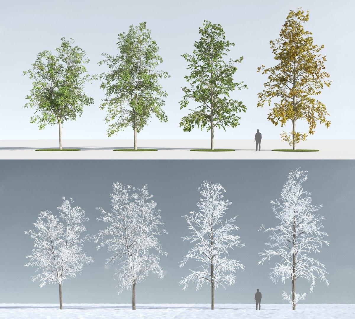3D trees https://p.turbosquid.com/ts-thumb/z3/l91ZUv/aNg5yZyz/trees_c_2/jpg/1545921330/1920x1080/fit_q87/0c41f0d2bc3a1ae7e297521ab9c3c91b4a91cb7c/trees_c_2.jpg