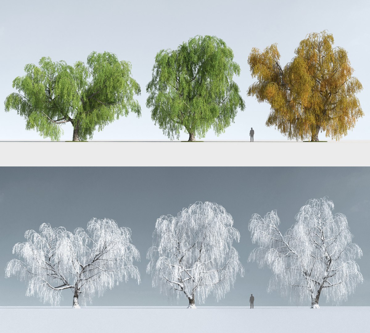 3D trees https://p.turbosquid.com/ts-thumb/z3/l91ZUv/tXa9OXq4/trees_k_2/jpg/1545921007/1920x1080/fit_q87/1124c43f15cc474c6a40d51e5b78093f91e3589a/trees_k_2.jpg