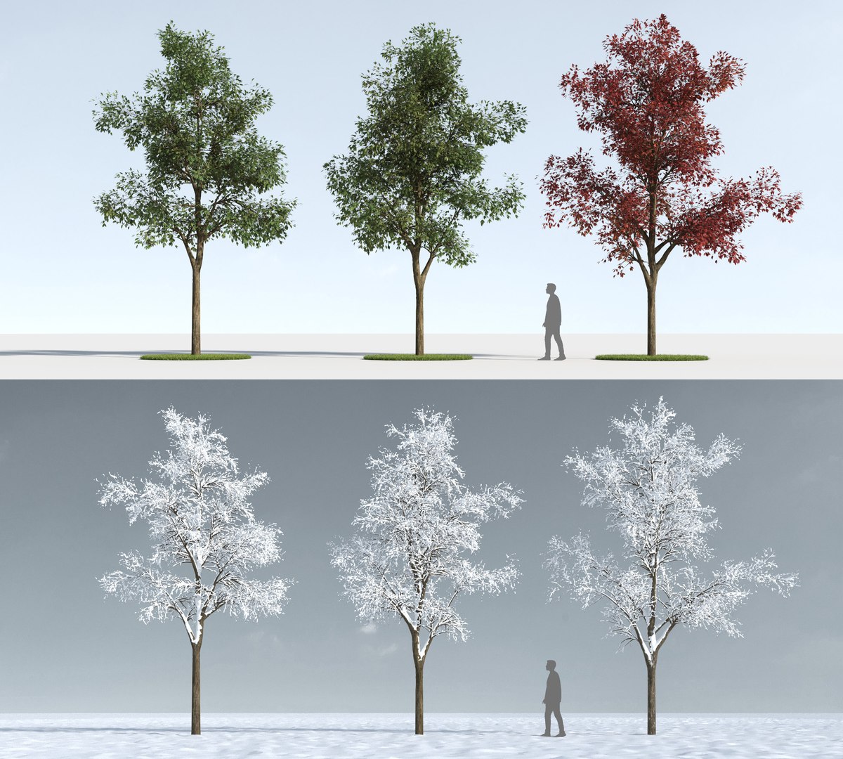 3D trees https://p.turbosquid.com/ts-thumb/z3/l91ZUv/y3Fr4lia/trees_b_3/jpg/1545920708/1920x1080/fit_q87/0dfc5f9e65e8be22cd85a862eaa1e4e0a909a20d/trees_b_3.jpg
