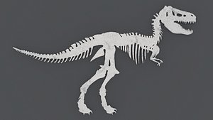 3D Dinosaur Skeleton - Printable model