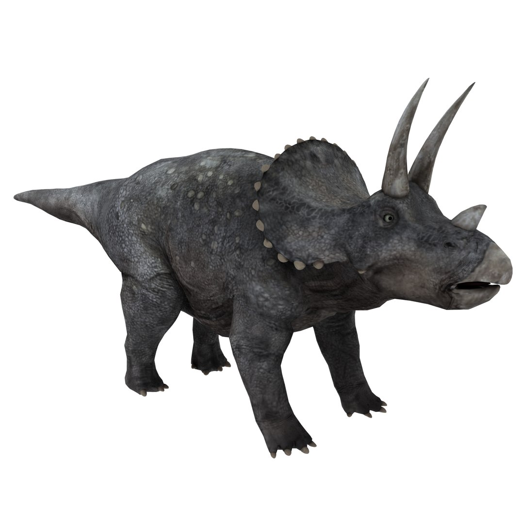 3D Model Triceratops - TurboSquid 1238407