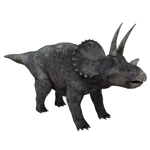 3D model triceratops