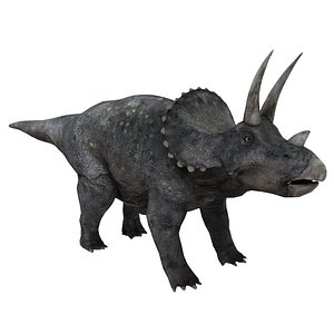 triceratops