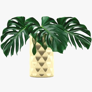 monstera leaves l model